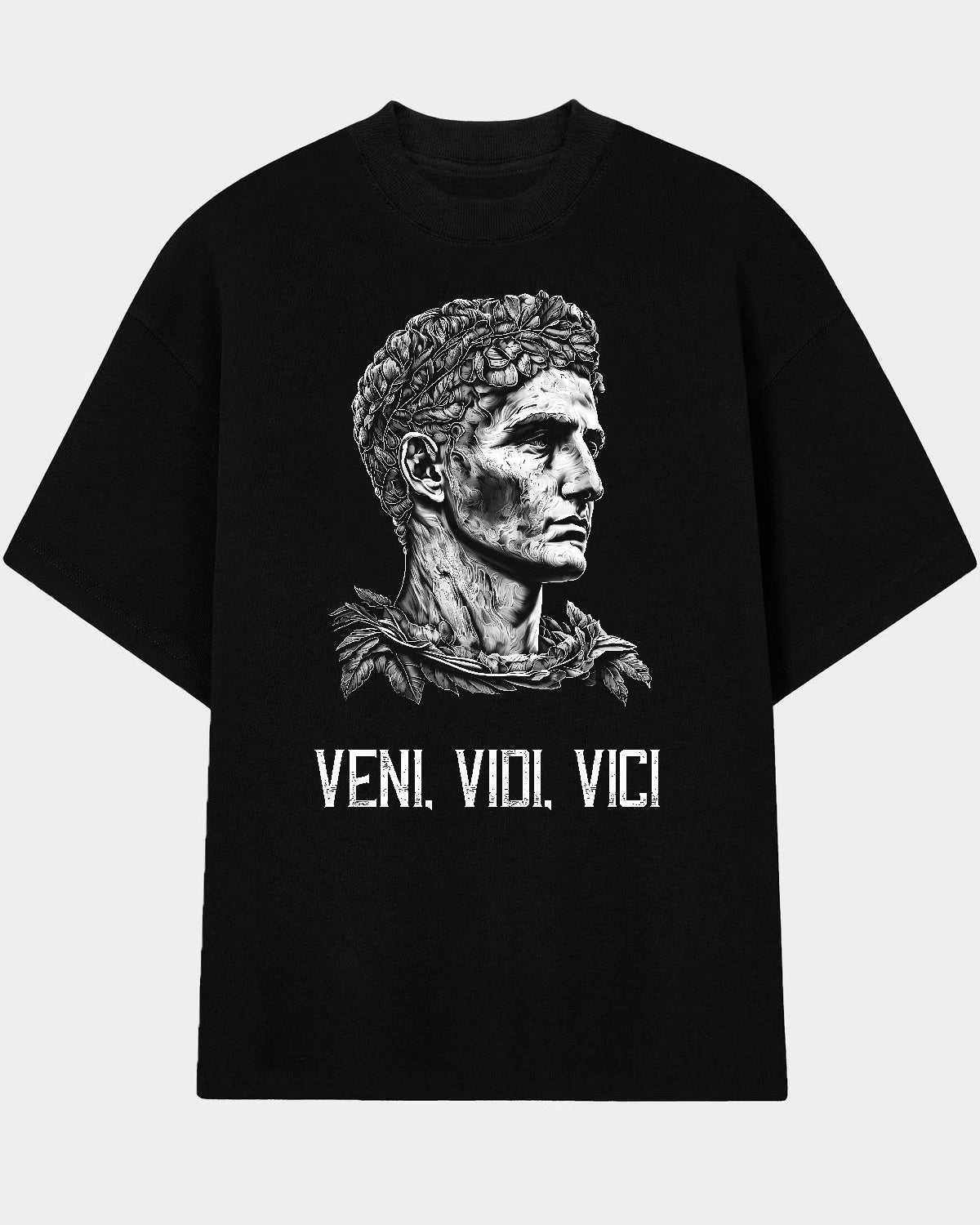 Veni Vidi Vici T-Shirt